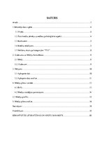 Referāts '"Feratum bank" ātrā kredīta mediju plāns televīzijas kanālā "TV3"', 2.