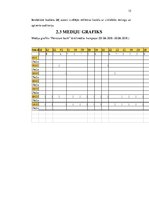 Referāts '"Feratum bank" ātrā kredīta mediju plāns televīzijas kanālā "TV3"', 15.