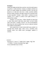 Referāts 'Politika, ētika un morāle', 14.