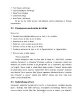 Prakses atskaite 'Prakses atskaite viesnīcā "Aldemar Paradise Mare & Paradise Village"', 12.