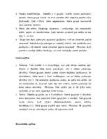 Konspekts 'Spēļu katalogs', 2.