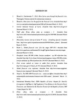 Referāts 'Latvia and the Financial Crisis', 16.