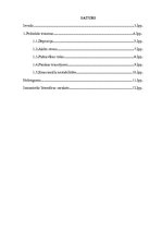 Referāts 'Komunikācijas traucējumu cēloņi un to pārvarēšanas metodes', 2.