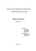 Referāts 'Koka siju tilts', 1.