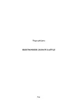 Referāts 'Elektroniskie grāmatu lasītāji', 1.