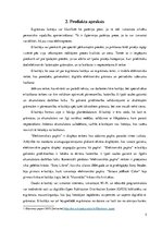 Referāts 'Elektroniskie grāmatu lasītāji', 5.