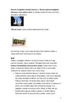 Referāts 'Valka un tās apkārtne', 3.