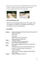 Referāts 'Valka un tās apkārtne', 9.