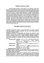 Konspekts 'Entomoloģija', 2.