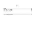 Referāts 'Alu veidi un to veidošanās', 2.