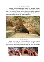 Referāts 'Alu veidi un to veidošanās', 5.