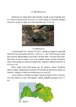 Referāts 'Alu veidi un to veidošanās', 6.