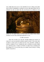 Referāts 'Alu veidi un to veidošanās', 11.