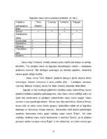 Referāts 'Jauna produkta virzīšana tirgū', 16.