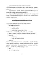 Referāts 'Jauna produkta virzīšana tirgū', 23.