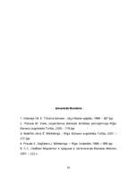 Referāts 'Jauna produkta virzīšana tirgū', 29.