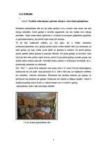 Prakses atskaite 'Prakse viesmīlības un ēdināšanas uzņēmumā SIA "Pils"', 8.