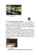 Prakses atskaite 'Prakse viesmīlības un ēdināšanas uzņēmumā SIA "Pils"', 9.