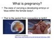 Prezentācija 'Foetal Development', 2.