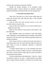 Referāts 'Teritorija starptautiskajās tiesībās', 7.