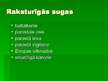 Prezentācija 'Aizsargājamie meža biotopi Latvijā', 26.