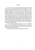 Referāts 'Valūtas operāciju veidi Latvijas bankās', 2.