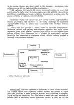 Referāts 'Uzņēmējdarbības mikrovide', 3.