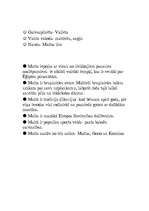 Konspekts 'Eiropas Savienība', 18.