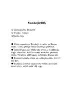 Konspekts 'Eiropas Savienība', 22.