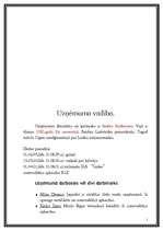 Biznesa plāns 'Sporta un atpūtas centrs "Sporta prieks"', 7.