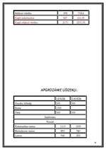 Biznesa plāns 'Sporta un atpūtas centrs "Sporta prieks"', 19.