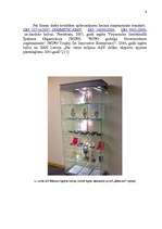 Referāts 'Uzņēmuma A/S "Dzintars" mārketinga vides un stratēģijas analīze un darbības plān', 6.