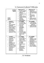 Referāts 'Uzņēmuma A/S "Dzintars" mārketinga vides un stratēģijas analīze un darbības plān', 25.