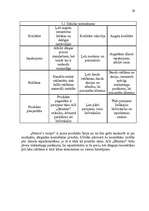 Referāts 'Uzņēmuma A/S "Dzintars" mārketinga vides un stratēģijas analīze un darbības plān', 29.