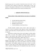 Referāts 'Dziesmu svētku tradīcijas', 4.