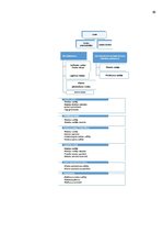 Prakses atskaite 'Loģistika starptautiskā uzņēmumā "X"', 37.