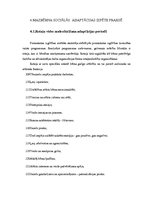 Diplomdarbs 'Mazbērna sociālā adaptācija pirmsskolā', 45.