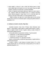 Referāts 'Inflācija Latvijā', 13.