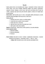 Referāts 'Latvijas nacionālais putns - baltā cielava', 3.