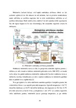 Referāts 'Pārbaudes darbs priekšmetā "Ūdens apgāde un kanalizācija"', 49.