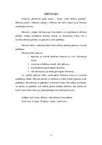 Referāts 'Krāsu izvēle reklāmas plakātos', 4.