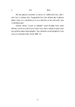 Referāts 'Krāsu izvēle reklāmas plakātos', 11.