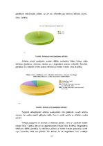 Referāts 'Krāsu izvēle reklāmas plakātos', 13.