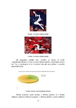 Referāts 'Krāsu izvēle reklāmas plakātos', 15.