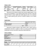 Biznesa plāns 'Klubs "Dille"', 8.