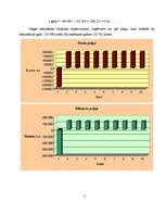 Biznesa plāns 'Klubs "Dille"', 11.
