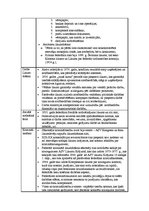 Konspekts 'ASV tiesību sistēma', 5.