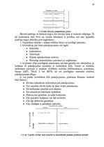 Referāts 'Uzņēmuma SIA "Lattelekom" mārketinga vides un stratēģijas analīze un darbības pl', 26.