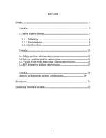 Referāts 'Unitāras valsts raksturojums', 2.