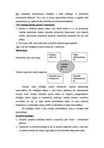 Konspekts 'Stratēģijas veidi', 2.